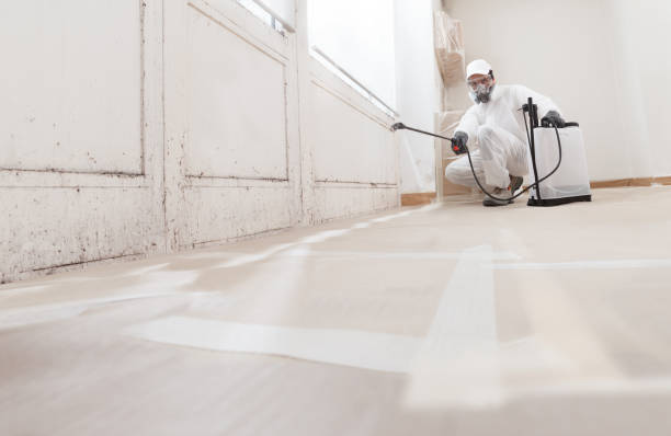 24/7 Emergency Commercial Mold Remediation experts in Shiloh, NC